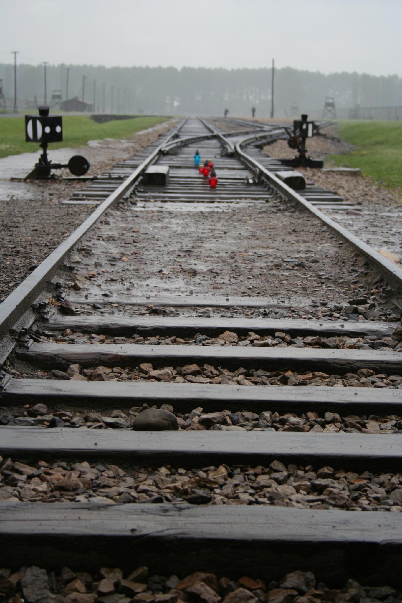 Train tracks that lead into the Auschwitz Nazi concentration camp, Poland.