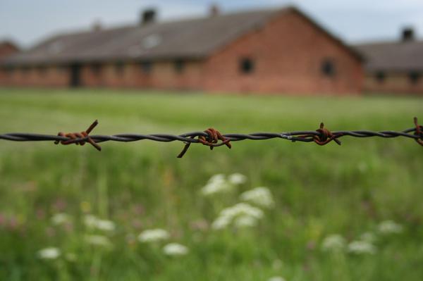 Barbed wire at the Auschwitz Nazi concentration camp in Poland
