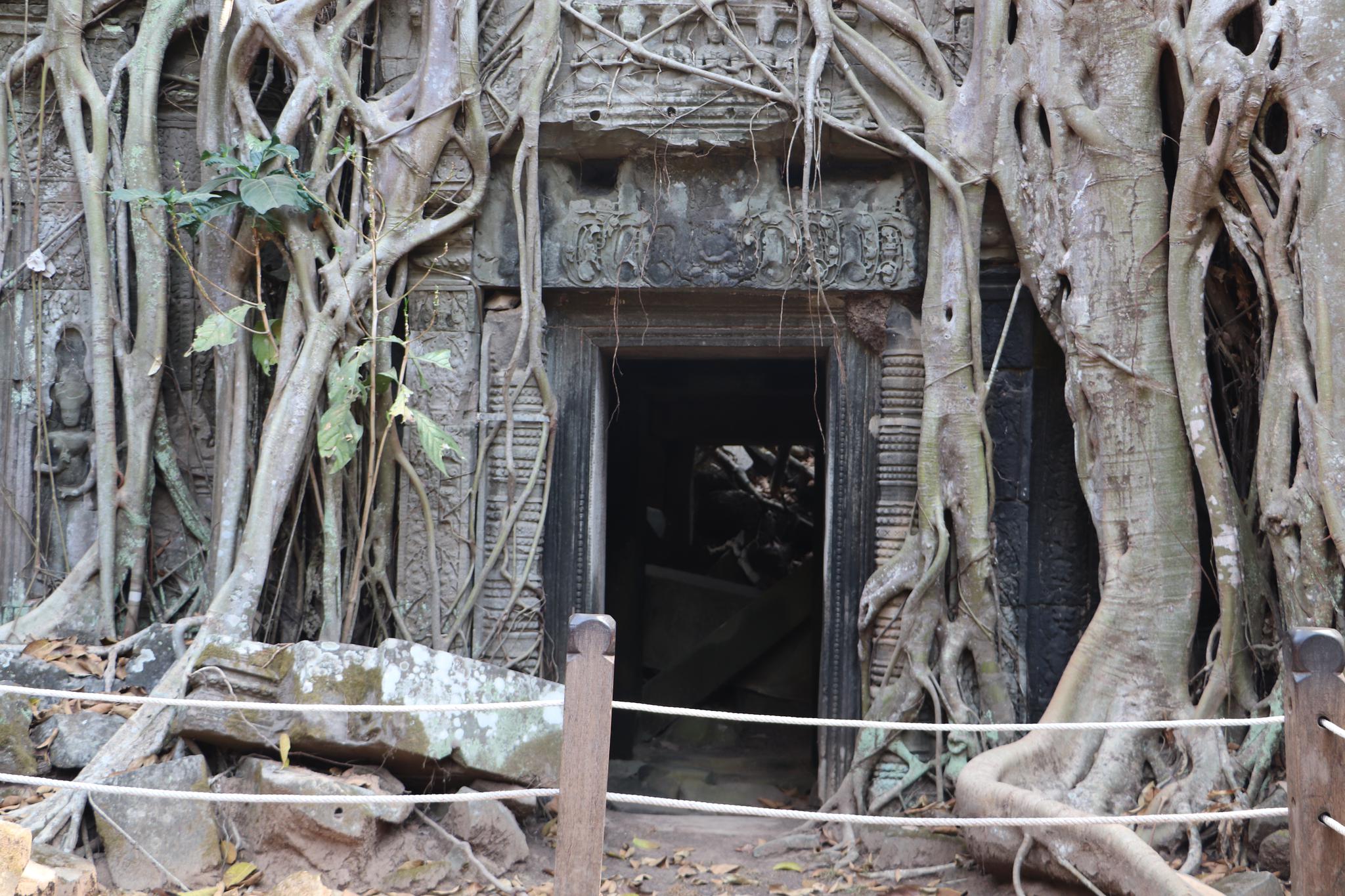 Ta Phrom temple, Siem Reap, Cambodia