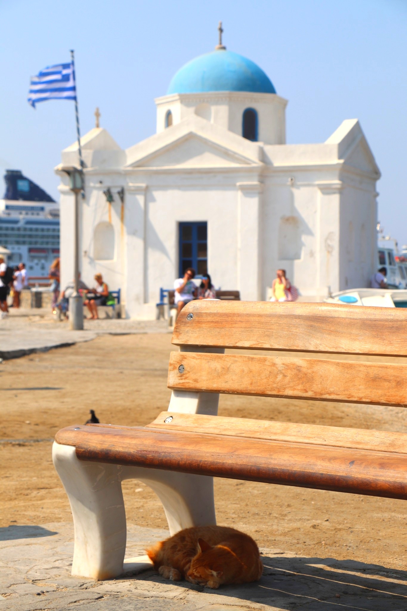 Ginger cat beneath bench at Chora, the old town on Mykonos, Greece