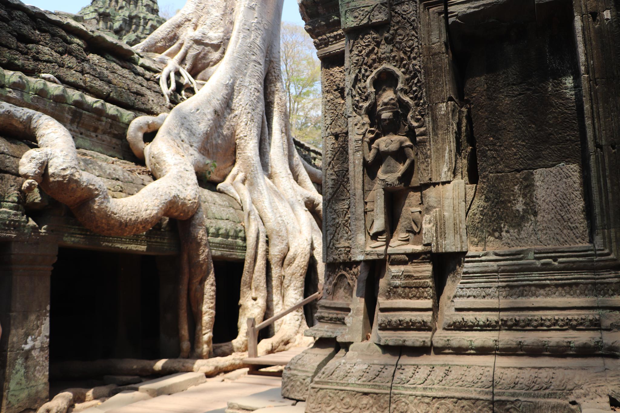 Ta Phrom Temple, Siem Reap, Cambodia