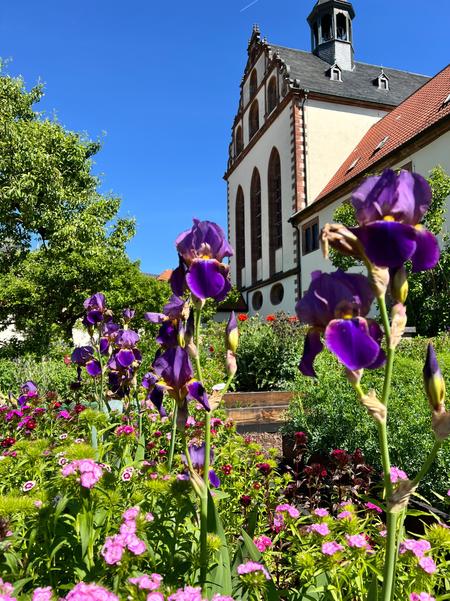 Benediktinerinnenabtei in Fulda