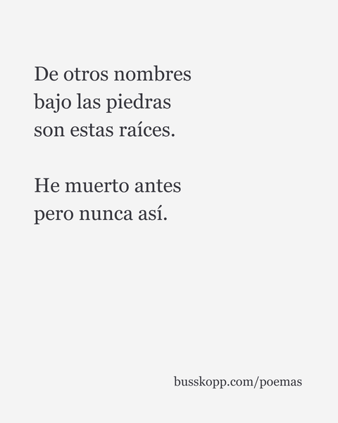 Maximiliano Buss Kopp