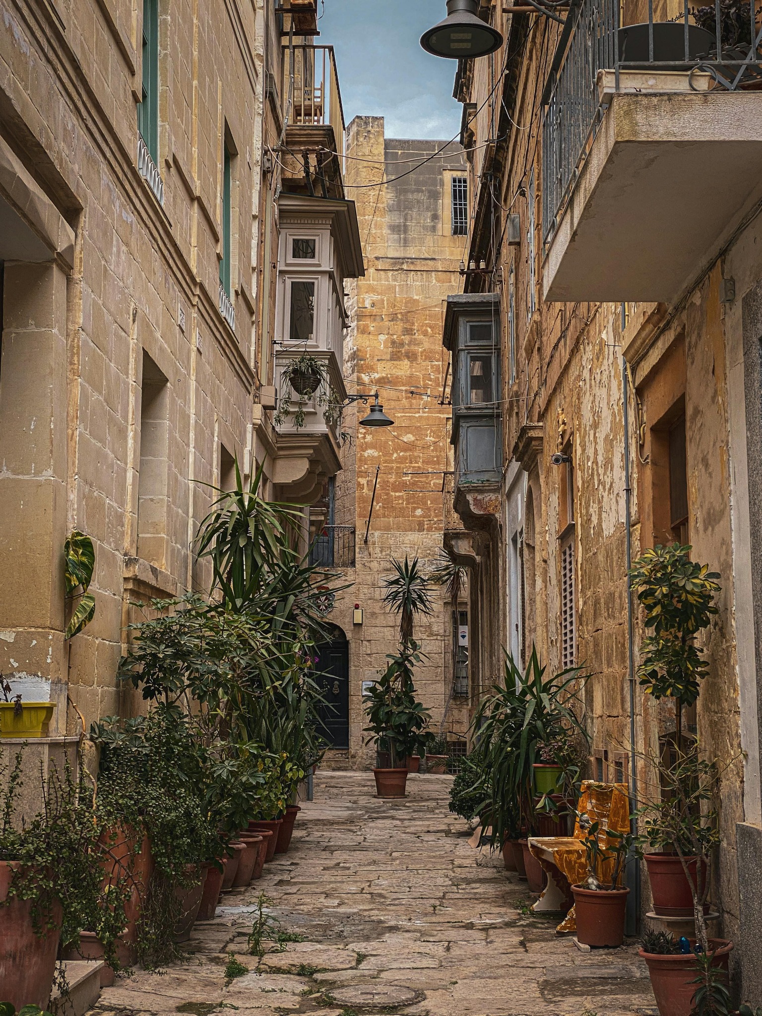 ruelle d'un village méditerranéen avec des plantes le long des murs