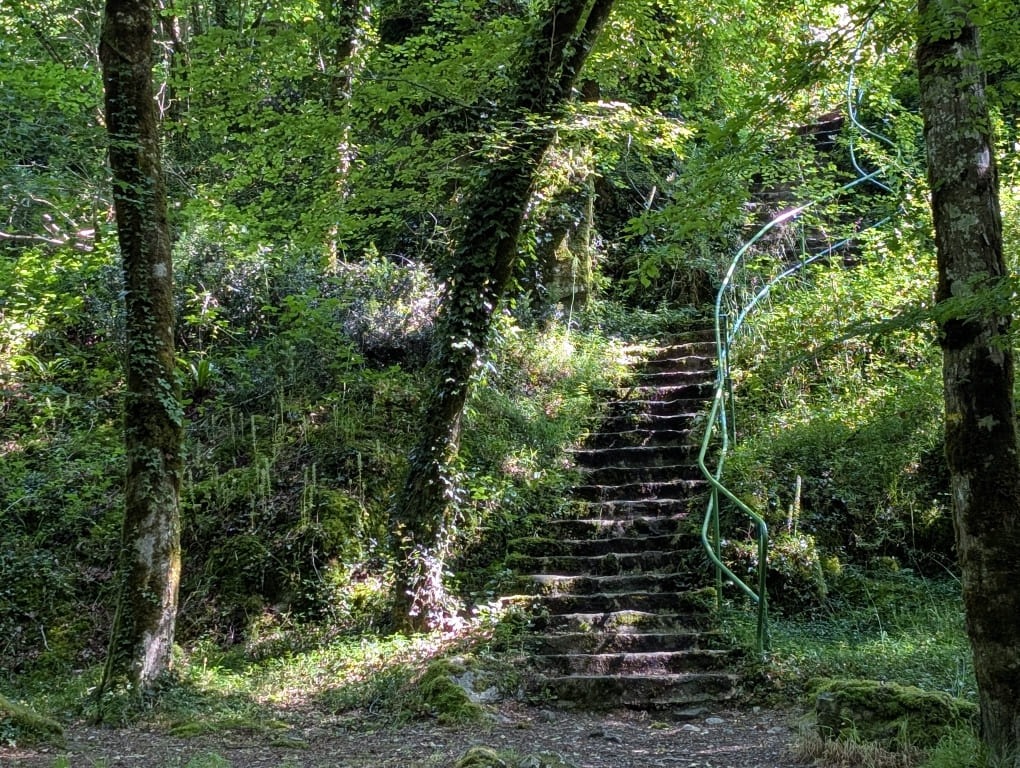 escalier-dans-une-foret