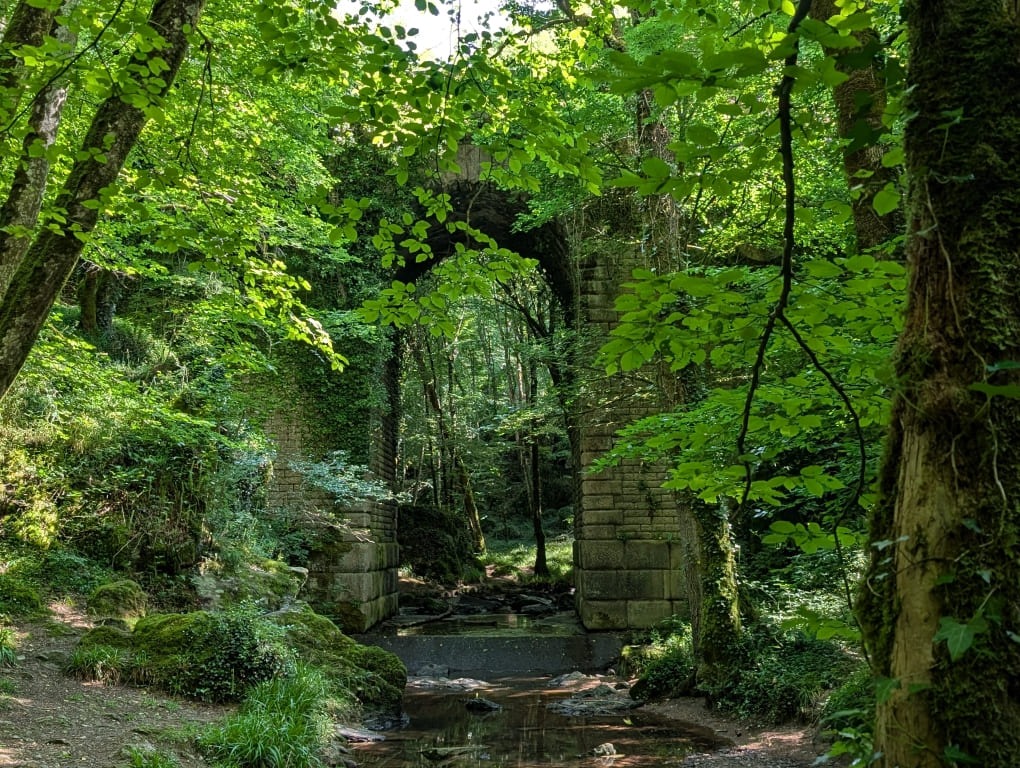 pont-en-pierres-dans-une-foret