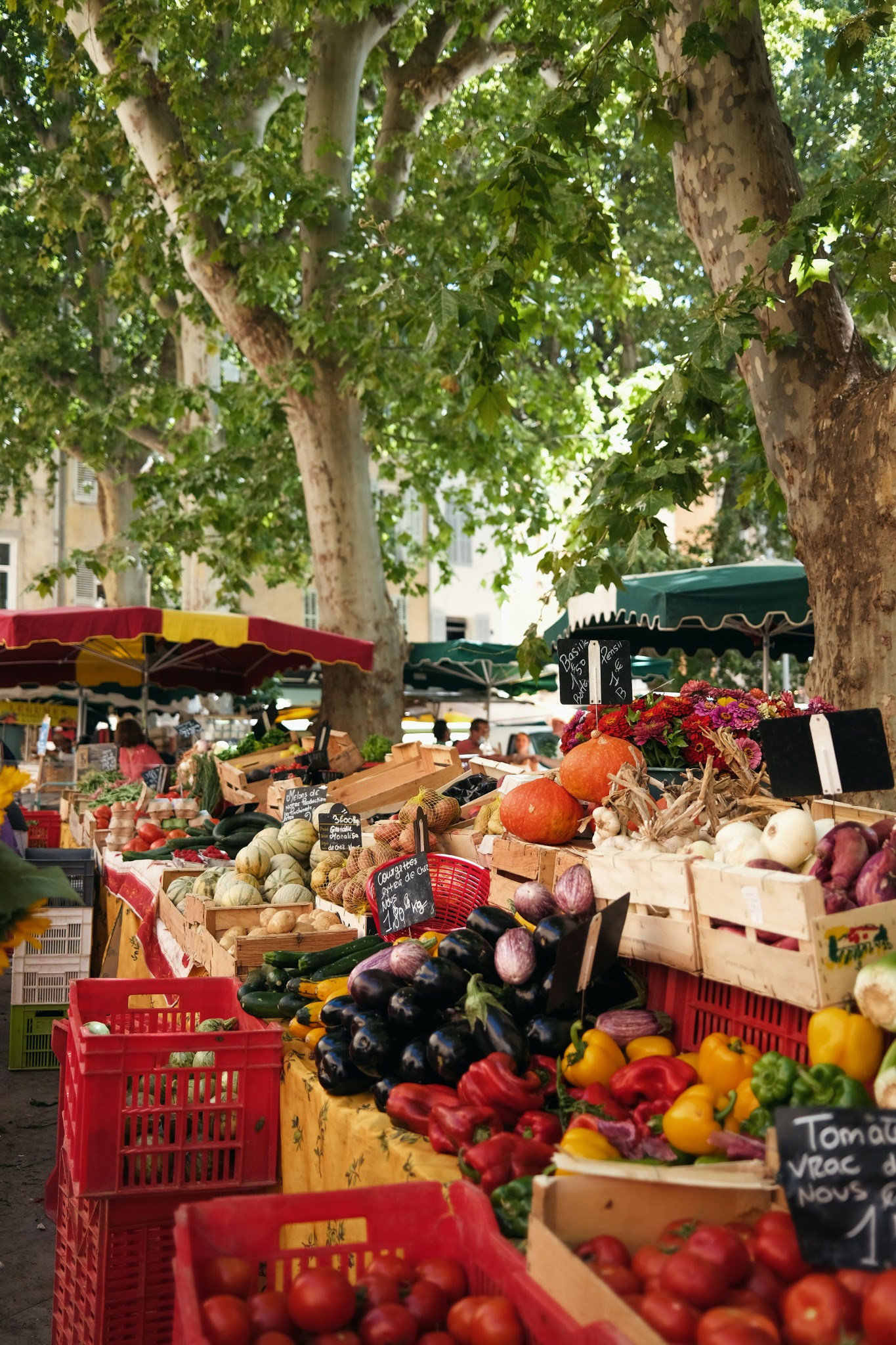 marché provençal avec des étals de fruits et légumes sous les arbres