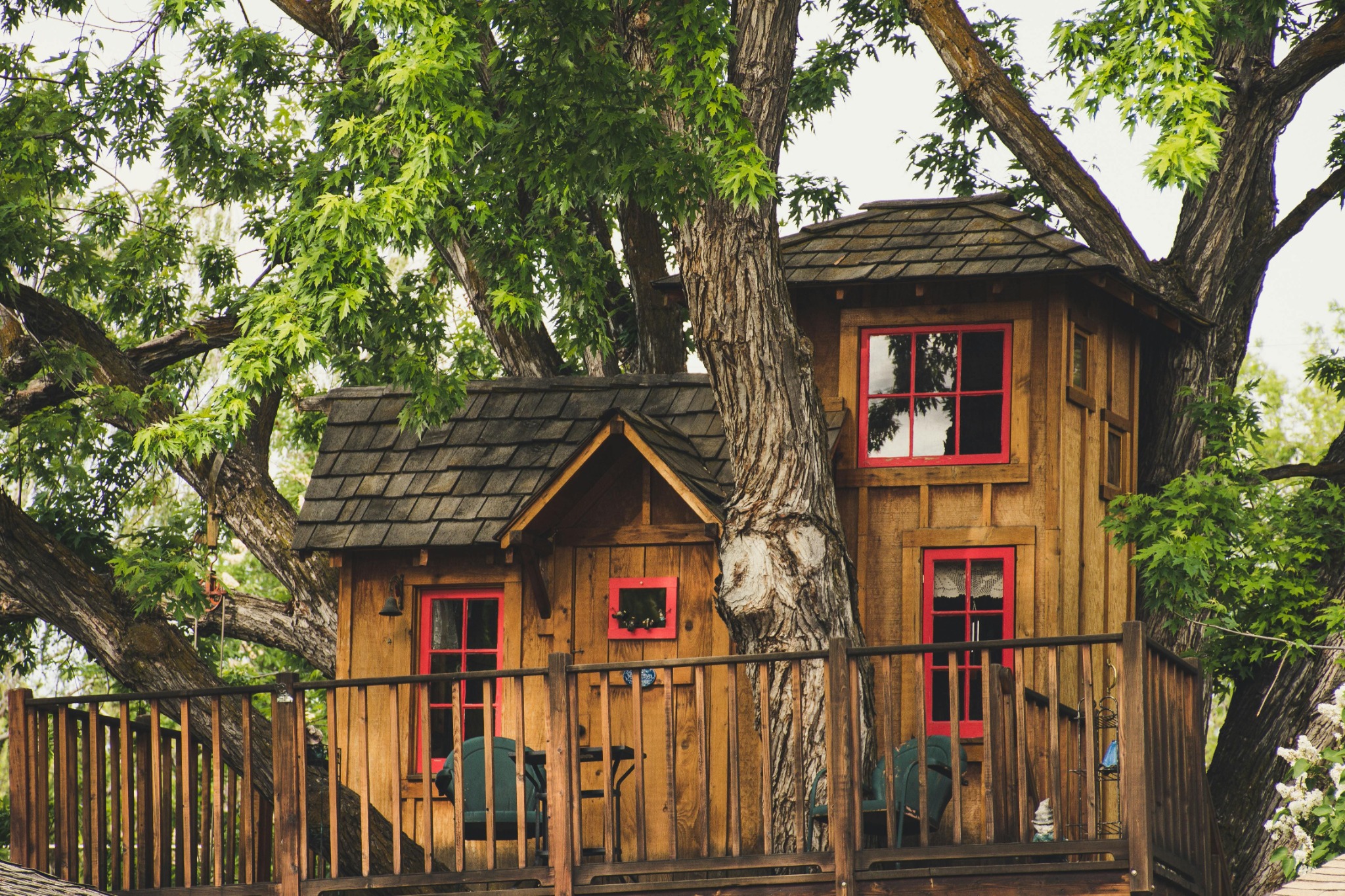 cabane-en-bois-dans-les-arbres