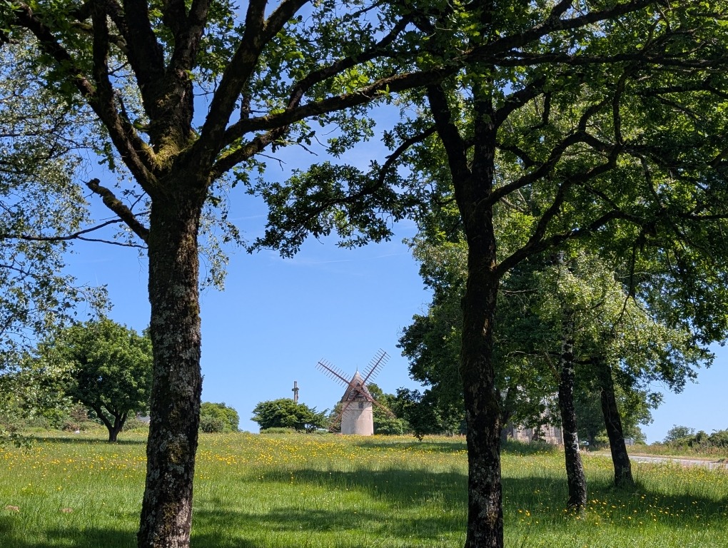 moulin-dans-une-clairiere