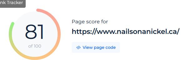 A screenshot from a website showing a SEO score of 81 out of 100.