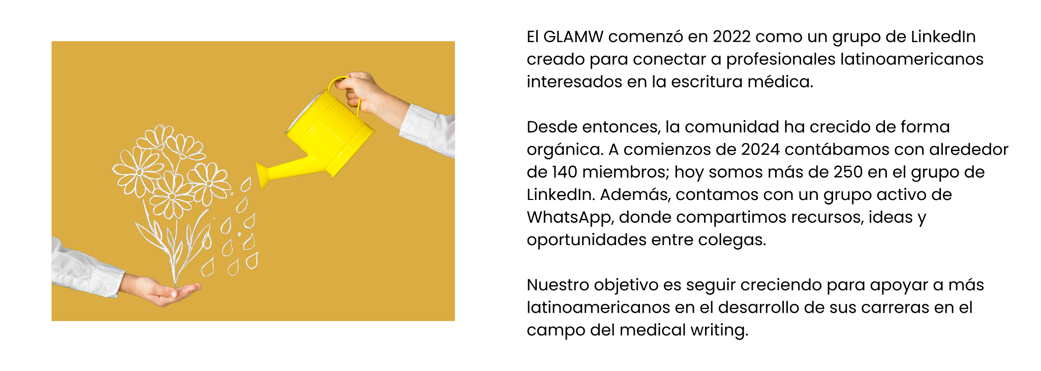 Fotografía de una planta bajo riego, representando el crecimiento profesional dentro de GLAMW.