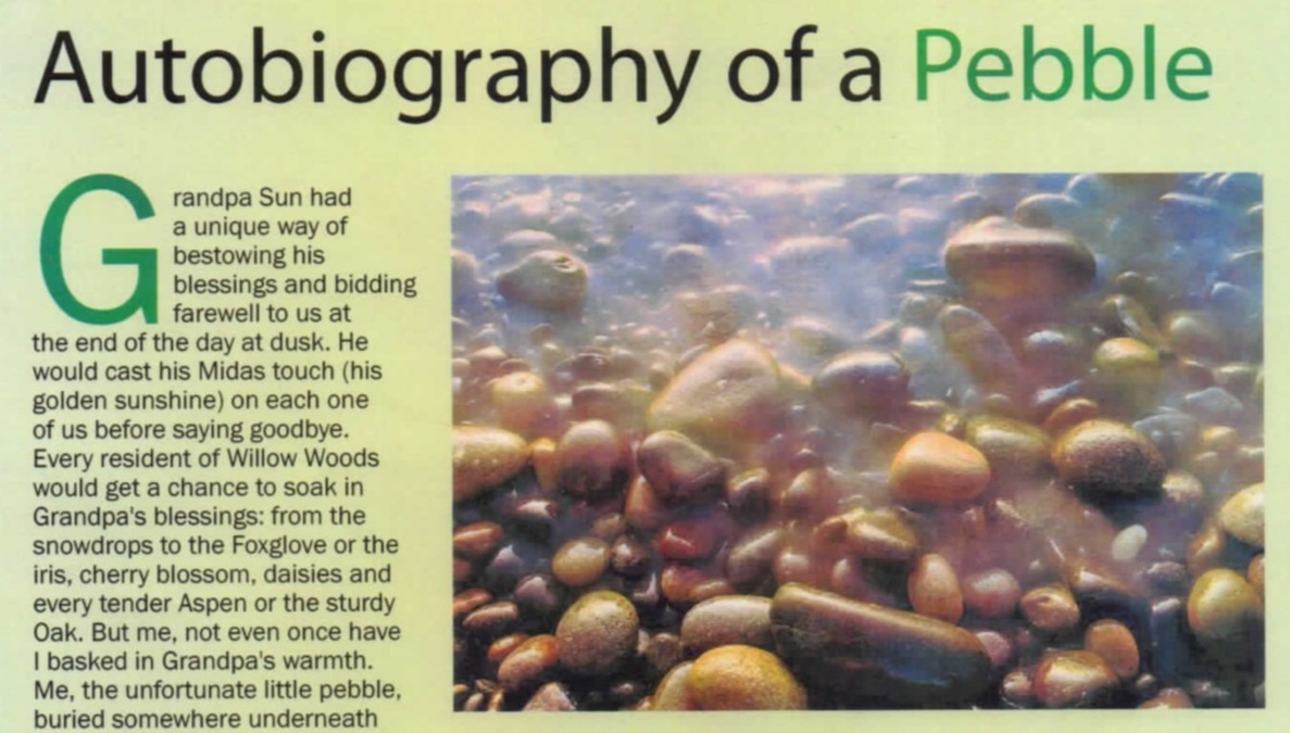 Autobiography of a Pebble- Image