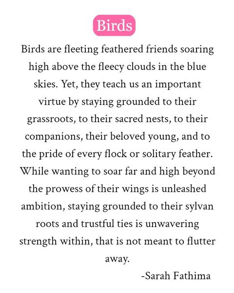 Short-form Prose: Birds