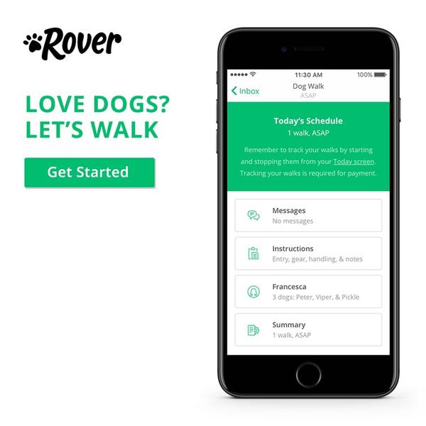 Rover digital ad