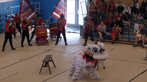 Lion dance team mid-performance