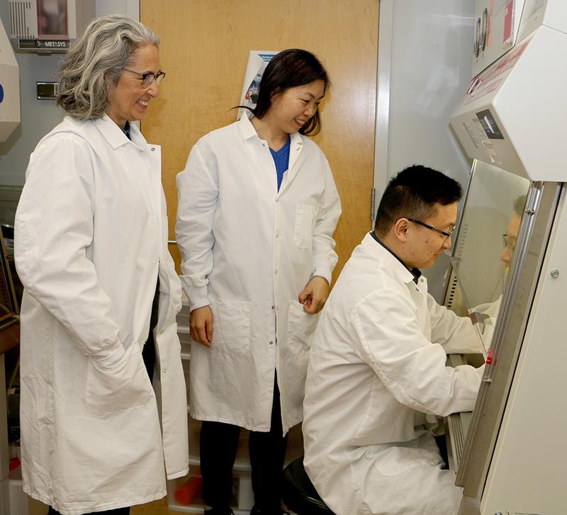Three scientists look under a the hood of a lab bench