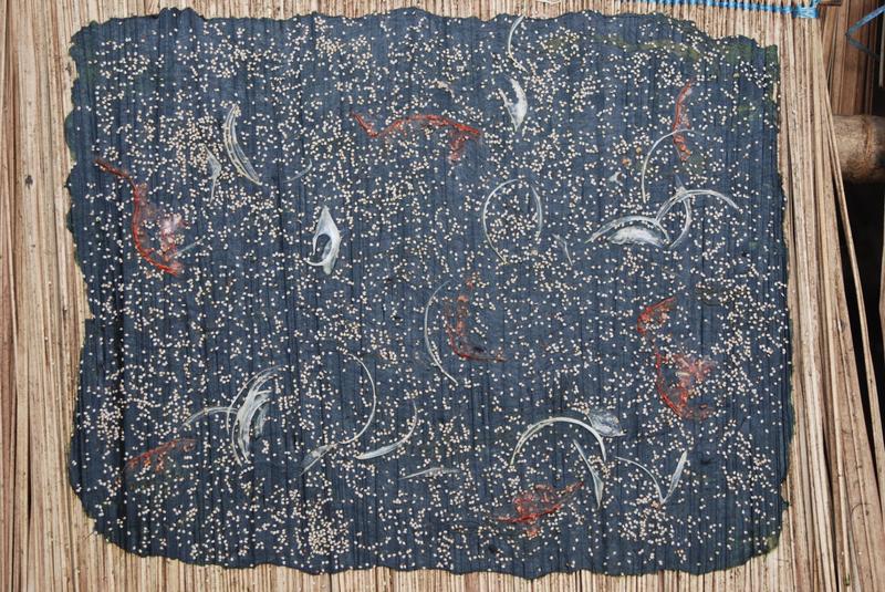 kaipen Lao river weed