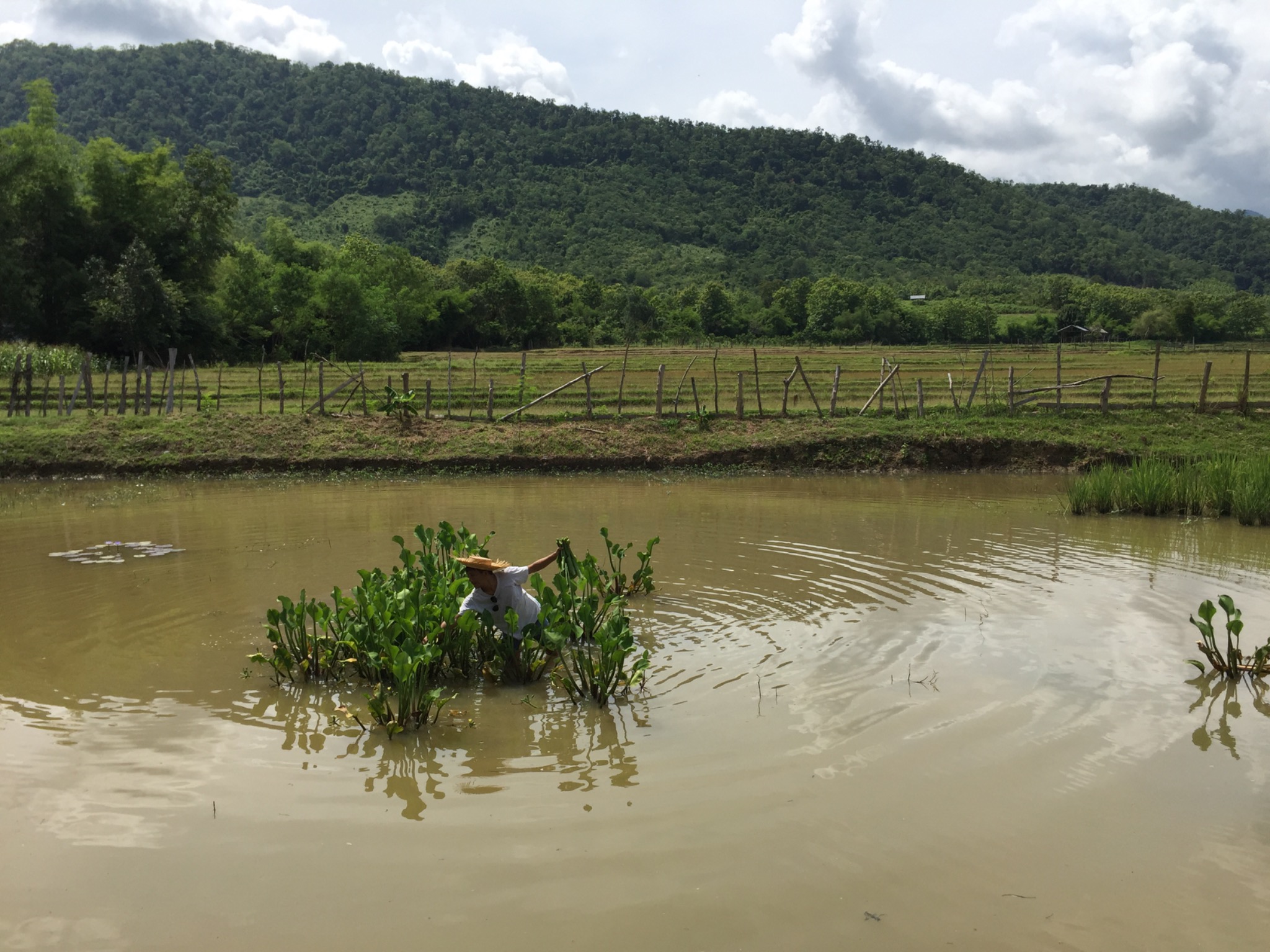 things to do in Luang Prabang things to do in Luang Prabang