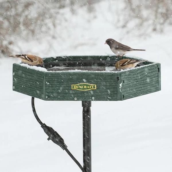 This is a photo of several birds huddled together, drinking water from a standing, heated bird bath in winter. Snow is falling down and is starting to accumulate around the edges of the bath, but the water itself is free-flowing and not frozen at all.