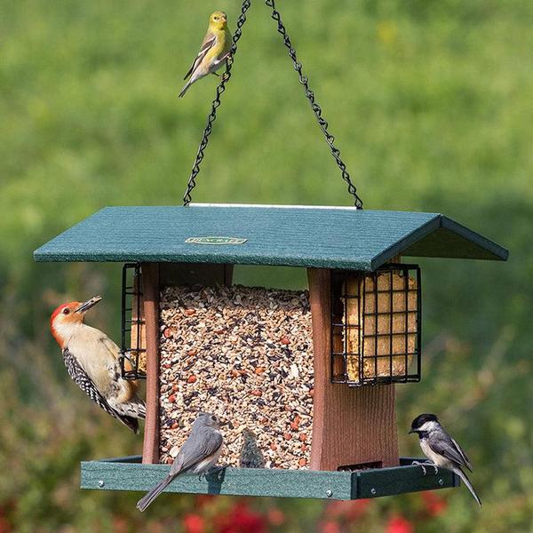 Photo of a handsome green and brown plastic hanging bird feeder with several pounds of seed in the middle and two suet cages on either end. There are several birds feeding, including a chickadee, a Tufted Titmouse, a woodpecker, and a goldfinch.