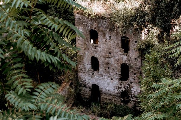 ferns and a ruined mill in Valley of the Mills, Sorrento, by Mark Holmes