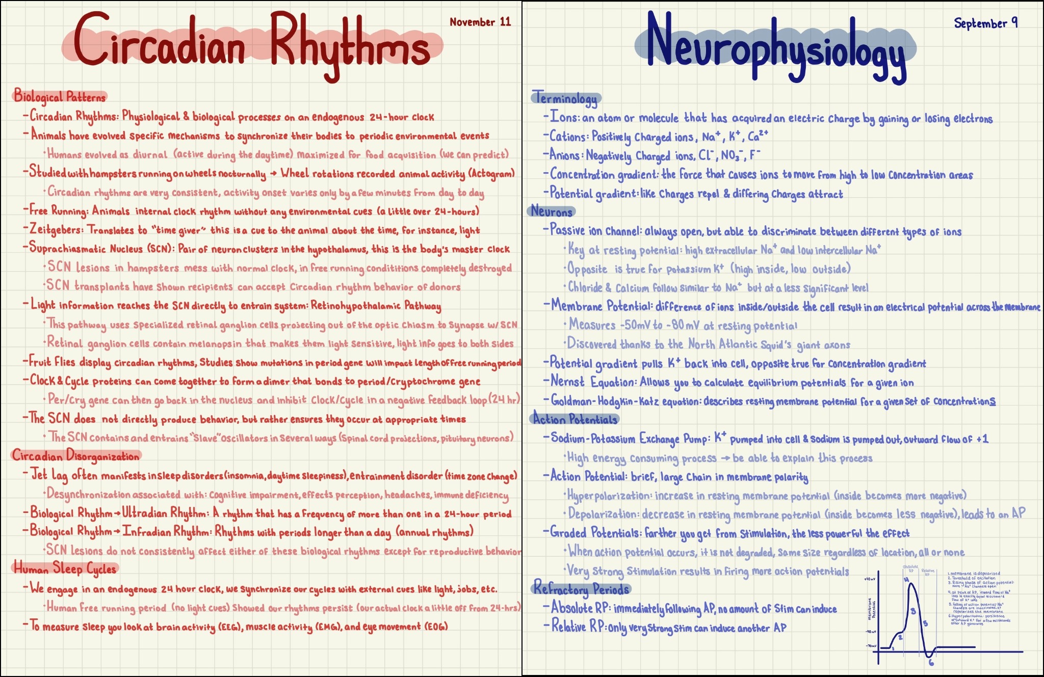 Handwritten Notes Taken on Goodnotes