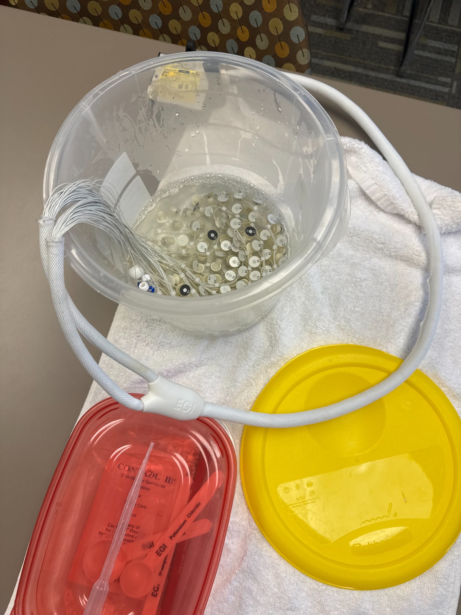 EEG Net and Cap in Solution