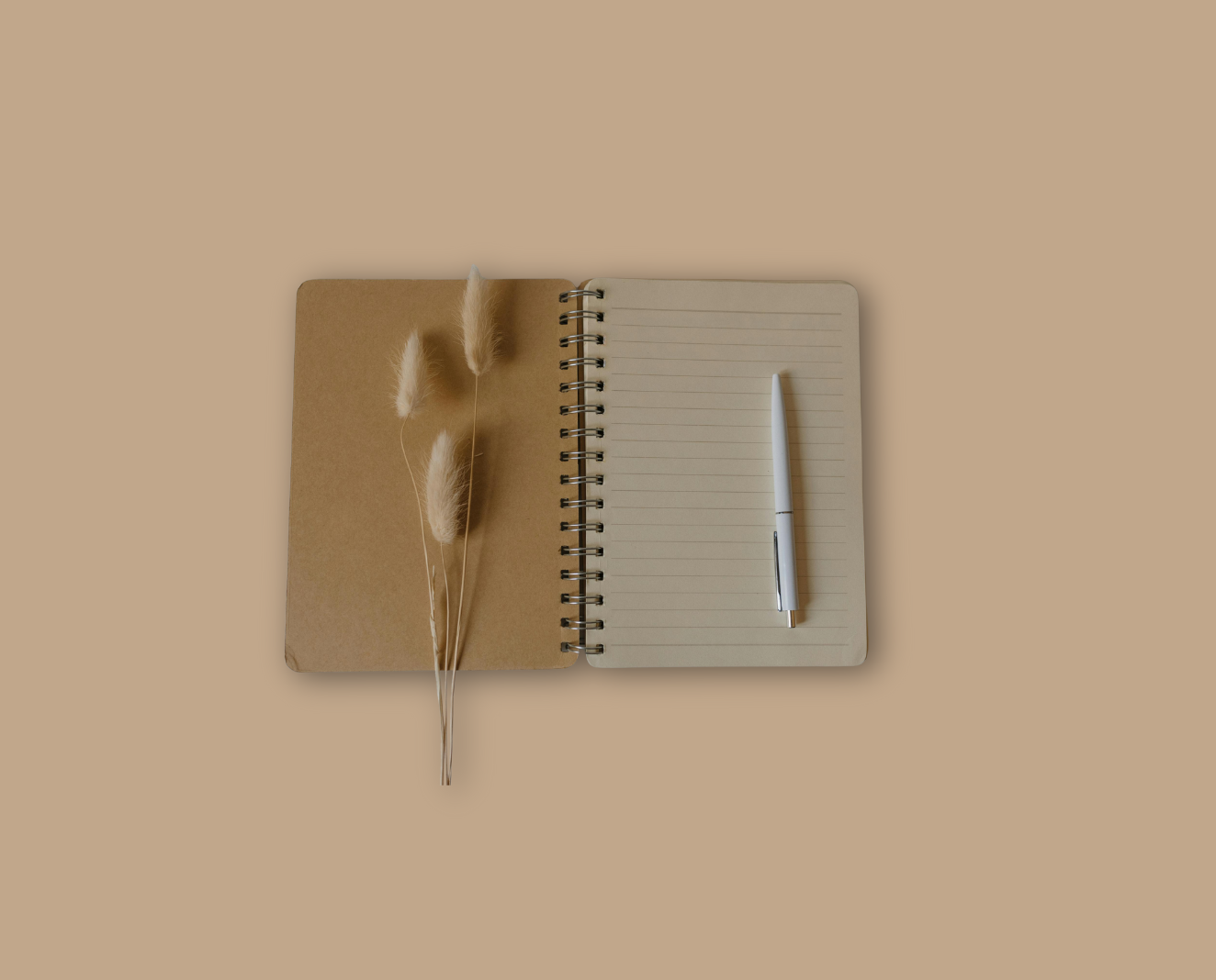 Portfolio d'articles de Copywriting