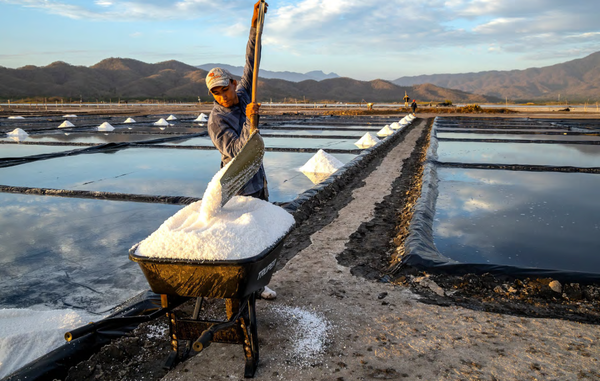 El sol y la sal de Colima / Text: Margot Castañeda / Photo: Ignacio Urquiza