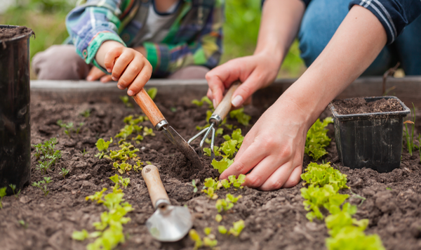 School farm for VICE / Text: Margot Castañeda