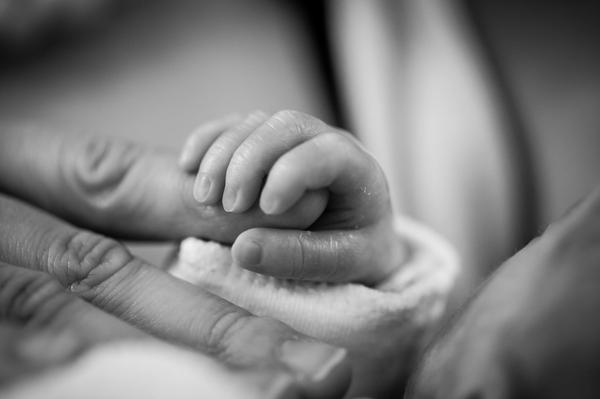 Newborn hand holding loved one's finger
