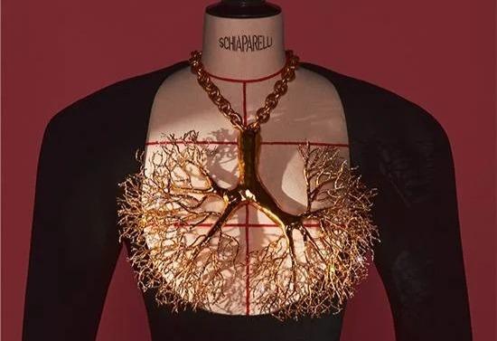 Schiapparelli V&A Exhibition art and fashion