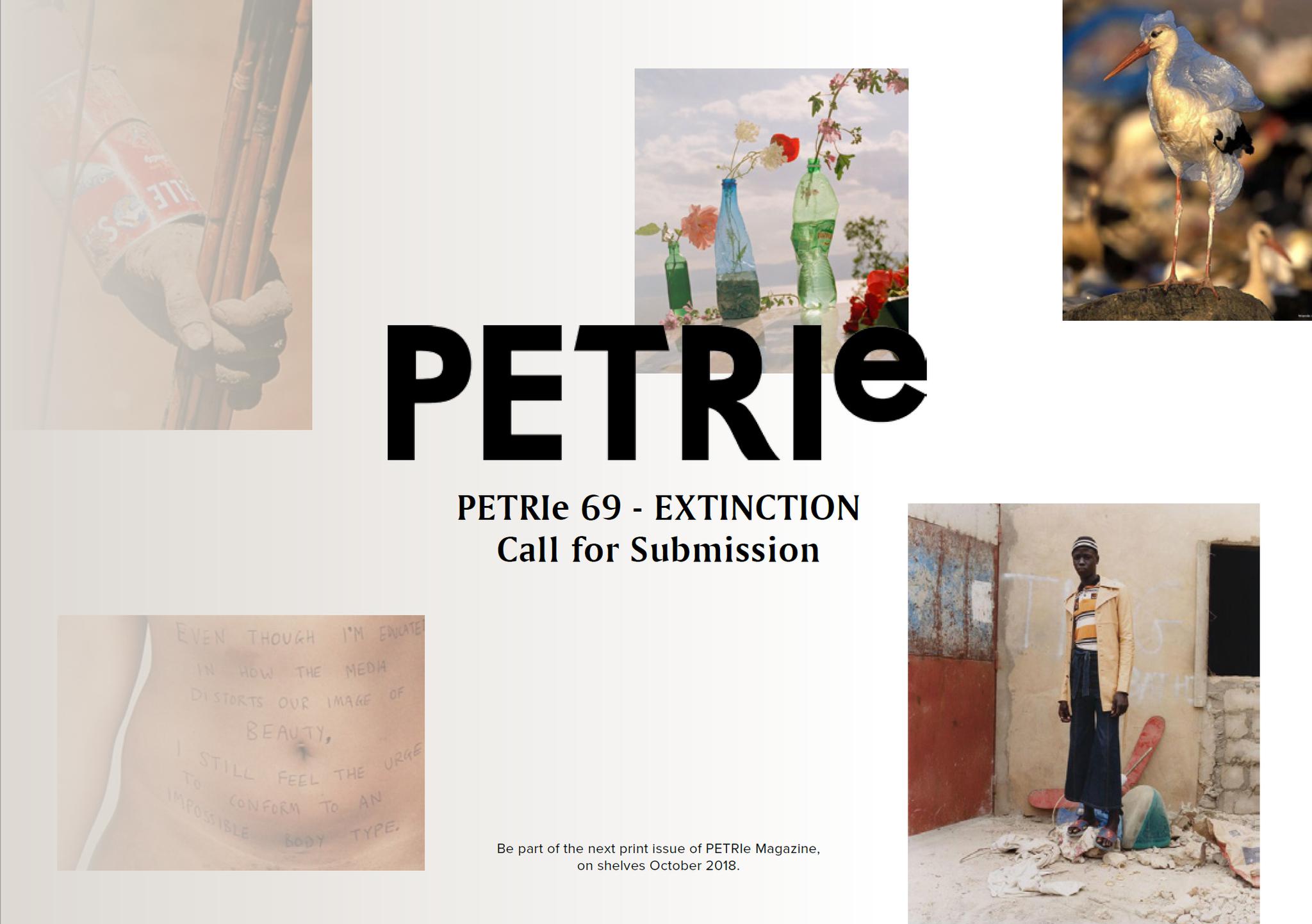 Call for Submissions - PETRIe 69