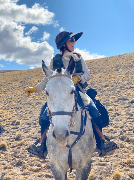 horse adventure wilderness Patagonia Adventurists