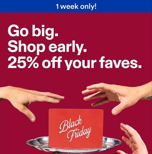 Black Friday promotional email featuring 25 percent off offer and ecommerce product imagery.