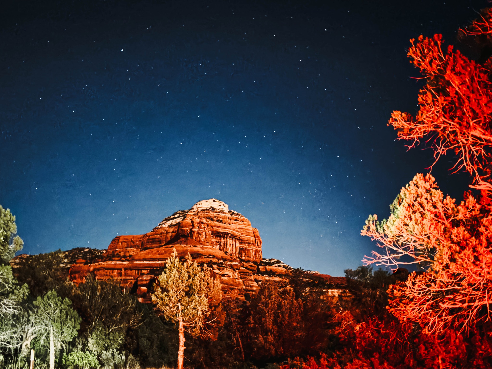 Stars above the red rock landscape at night in Sedona, Arizona