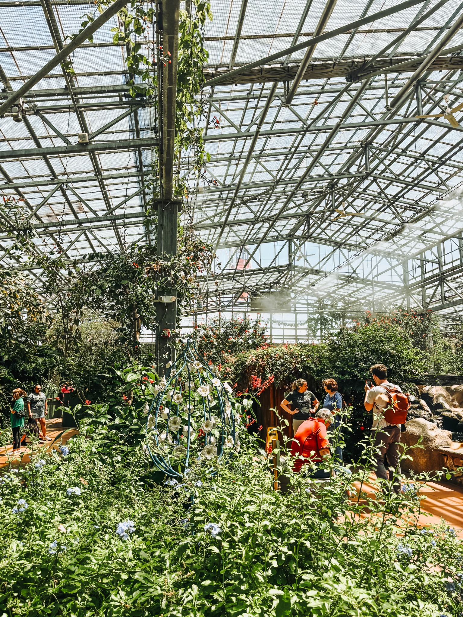 Indoor butterfly garden at Butterfly Wonderland in Scottsdale, Arizona