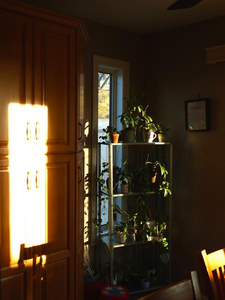The exterior of a home during golden hour