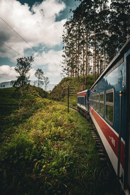 Ella The Beautiful Train Ride