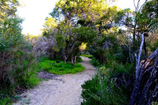 When You Are Ready, A Path Will Find You