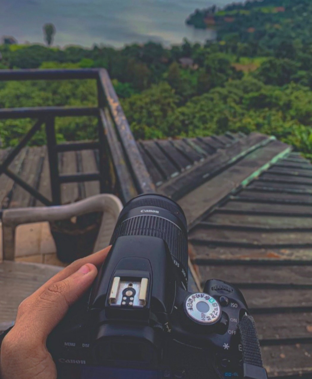Hand holding camera photographing a green landscape from a rooftop