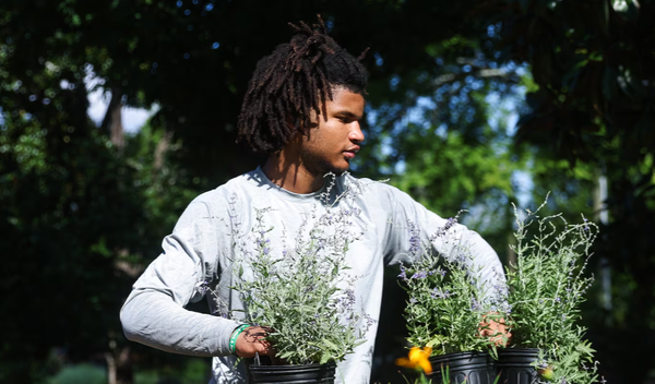 Oakland Roots Academy student Cyrus Martin carries plants at the Oakland Cemetery in Atlanta on Thursday, July 16, 2026. Oakland Roots Academy is a workforce development and leadership program for youth focused on horticulture, sustainability and historical preservation.