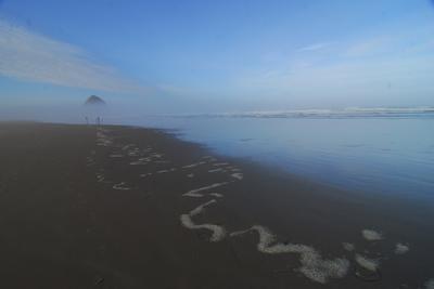 Oregon coastline morning