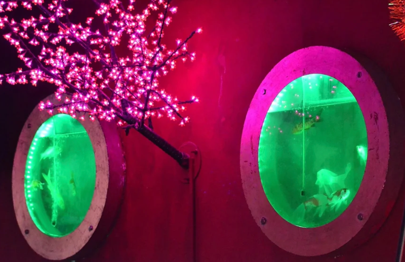 aquatic eyes outside China restaurant