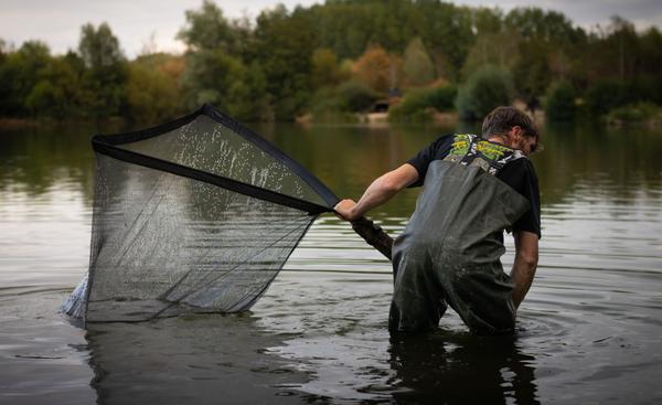 Fish in net on lake bank. Photographed by Lowes Creative Media