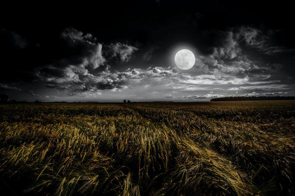 moon night field cloud sky moon night field cloud sky