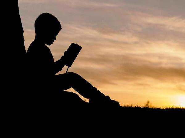 Silhouette of a young child reading a book at sunset while leaning against a tree. Silhouette of a young child reading a book at sunset while leaning against a tree.