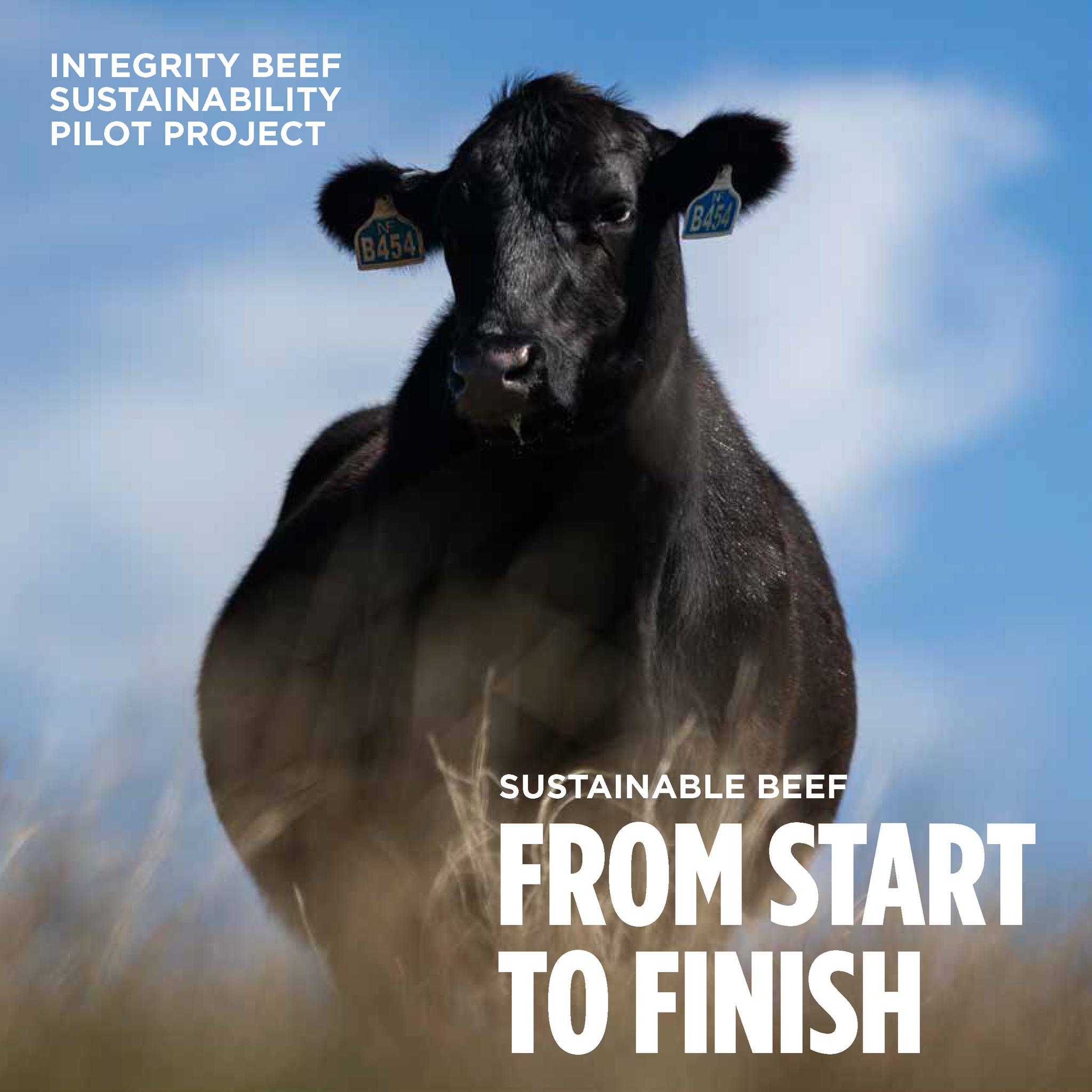 Integrity Beef Sustainability Pilot Project Report