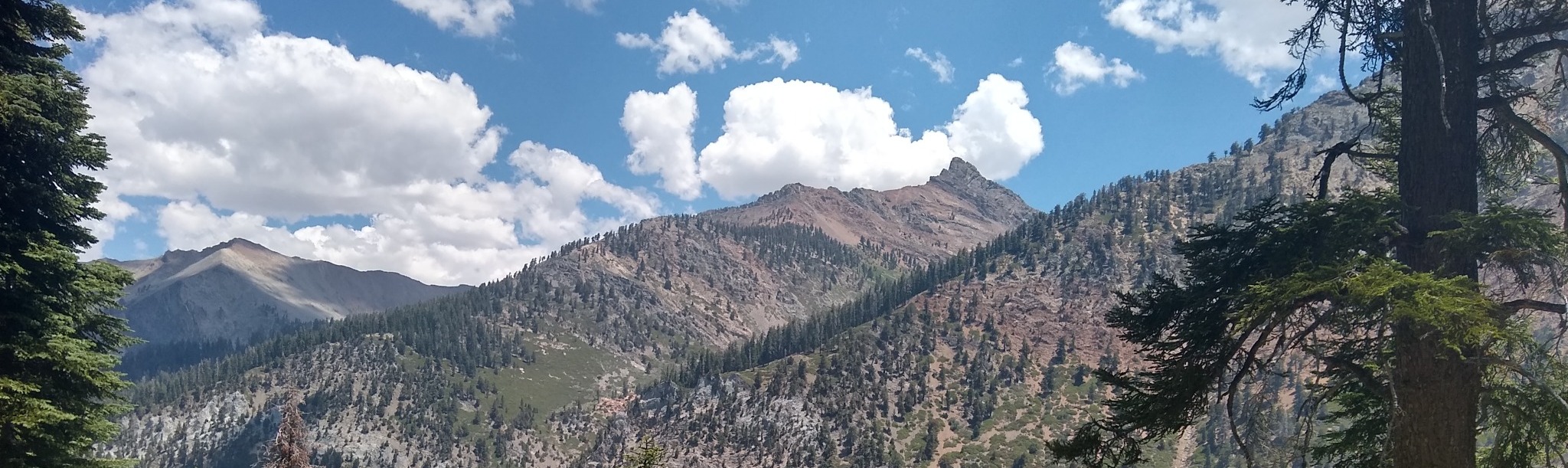 View of Mineral King Valley at 8000+ feet