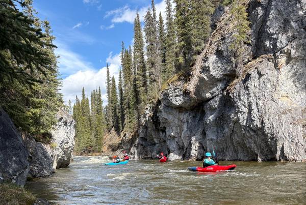 Paddling the O'Donnel River